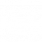 Ronen Lees Logo Alt White